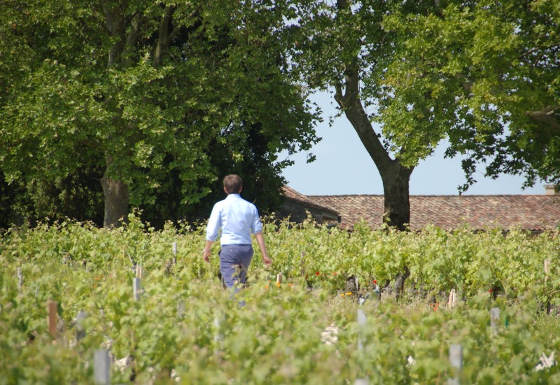 Wijnen Henri Petre Izegem - West-Vlaanderen - gespecialiseerde wijnhandel
